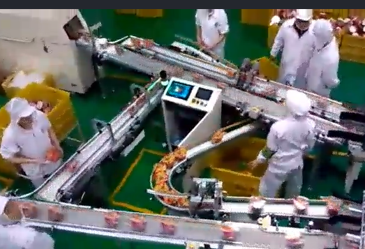 當輸送帶出現(xiàn)跑偏后，怎么辦？